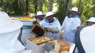 Producción apícola de la fundación FIDES