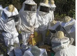 Producción apícola de la fundación FIDES